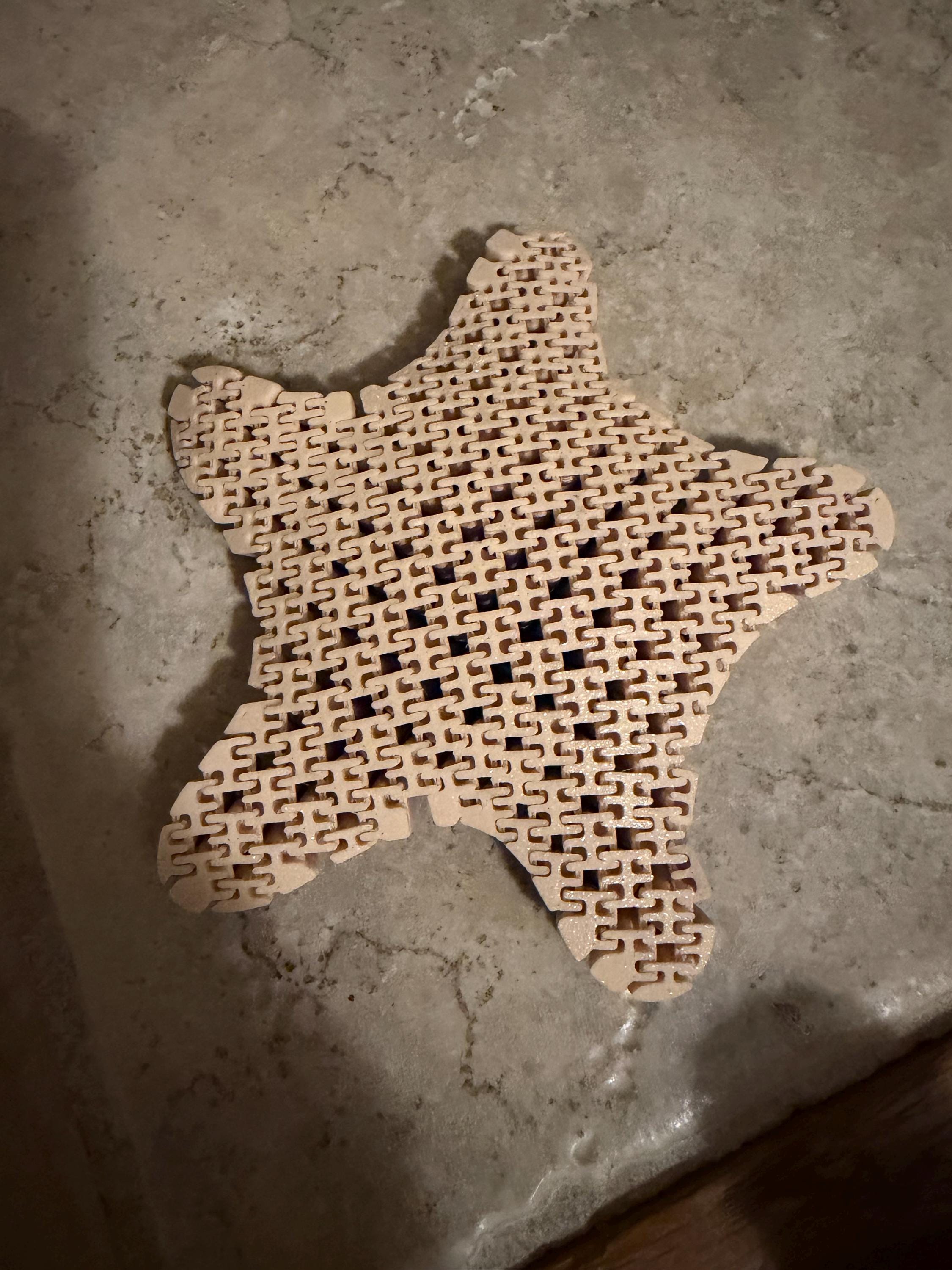 Fidget starfish, fidget toy