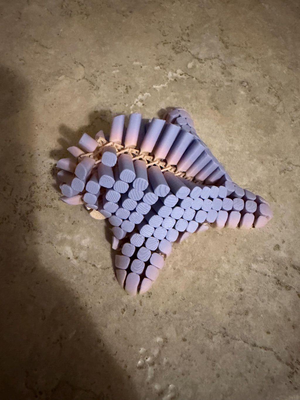 Fidget starfish, fidget toy