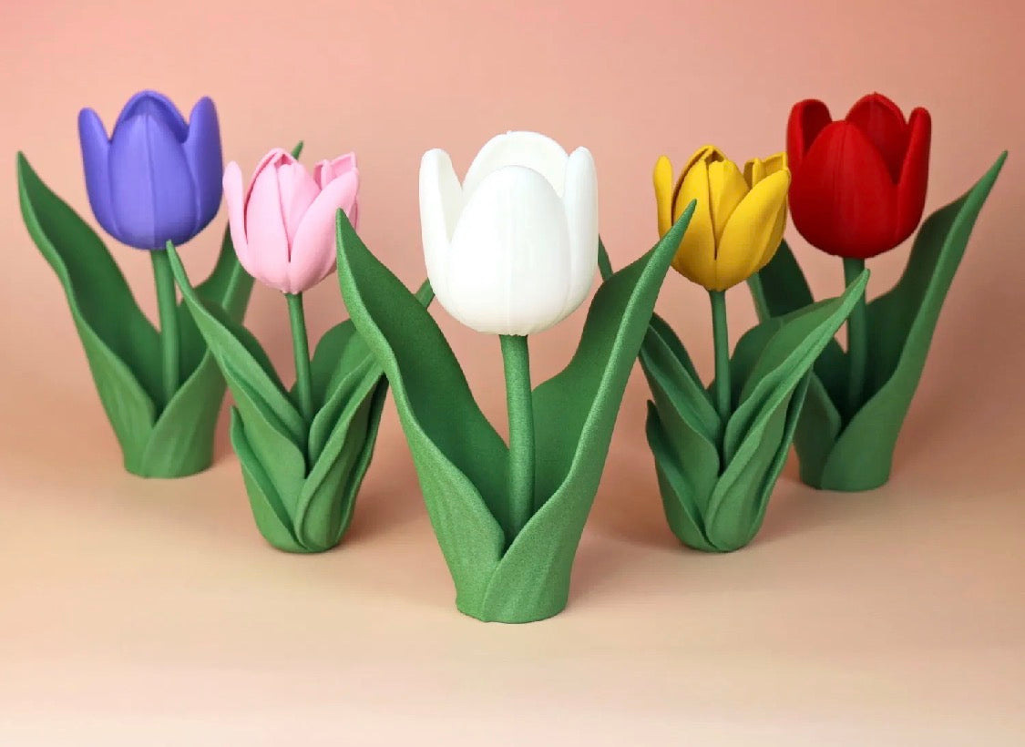 3D Printed Tulip Flower Decor