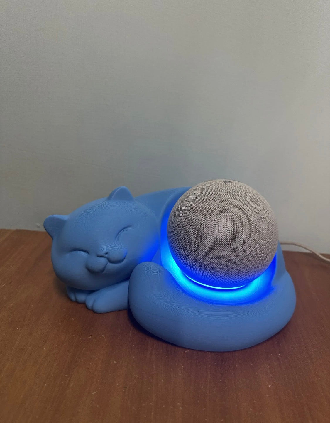 Sleeping Cat Echo Dot Holder