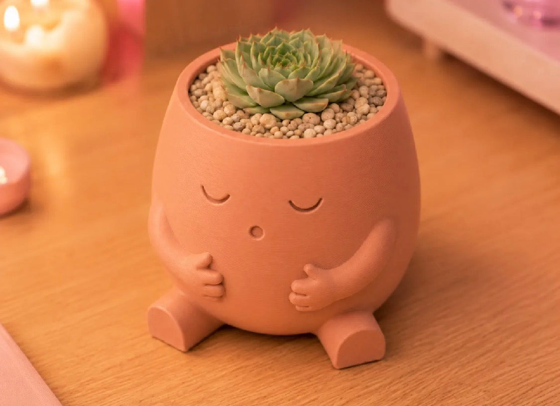 Cute Character Succulent Plant Holder
