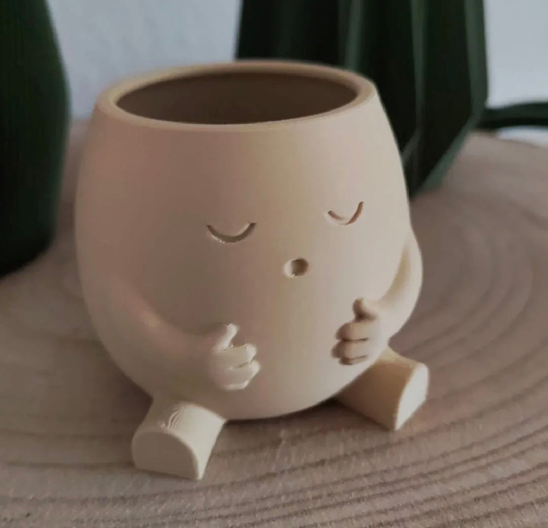 Cute Character Succulent Plant Holder