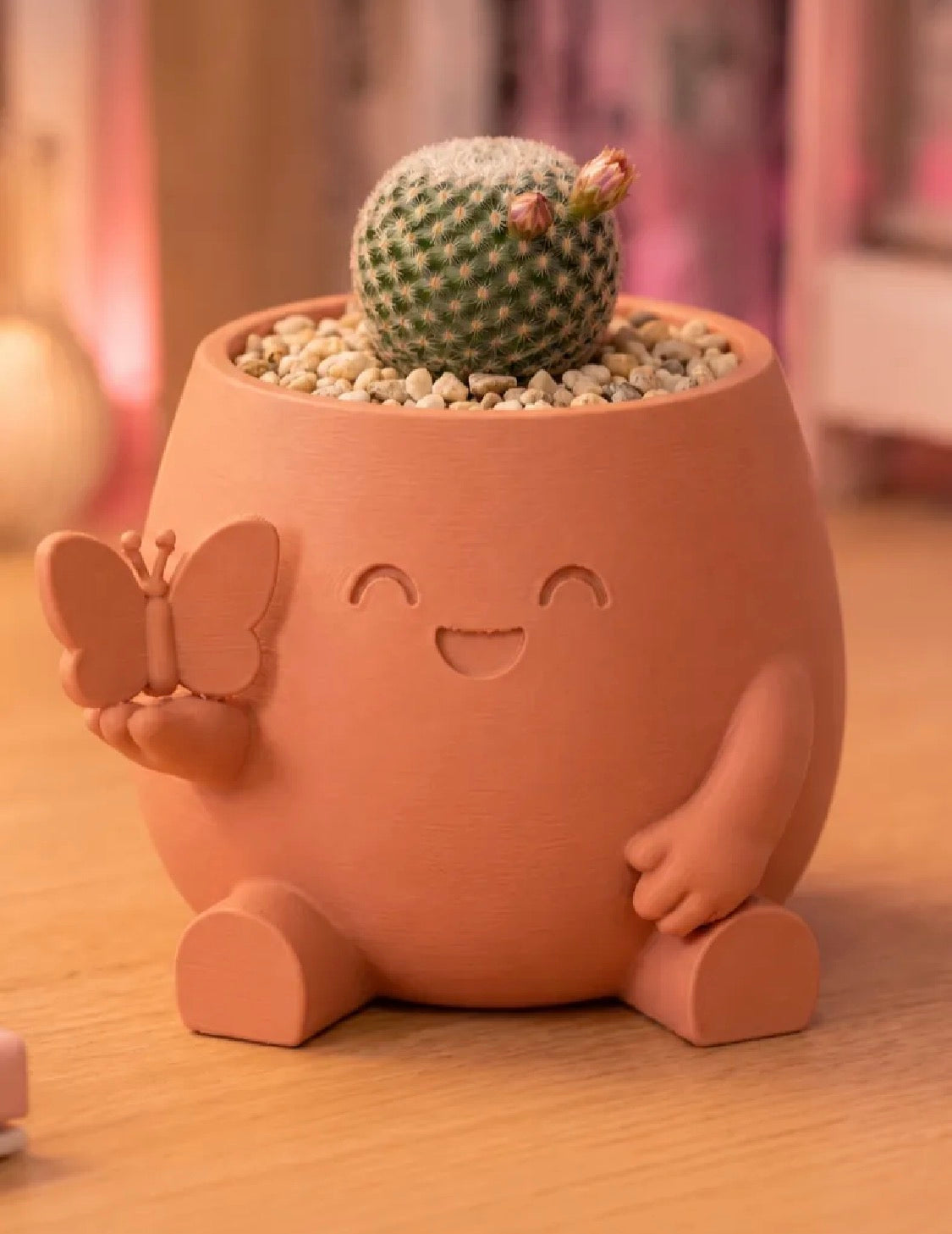 Butterfly Character Succulent Plant Holder