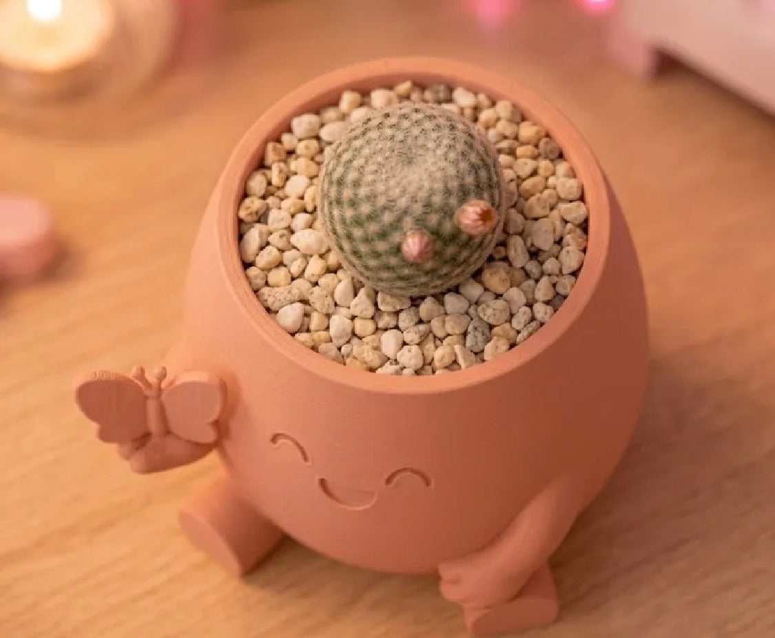 Butterfly Character Succulent Plant Holder