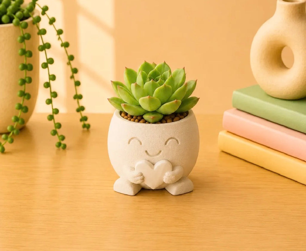 Butterfly Character Succulent Plant Holder