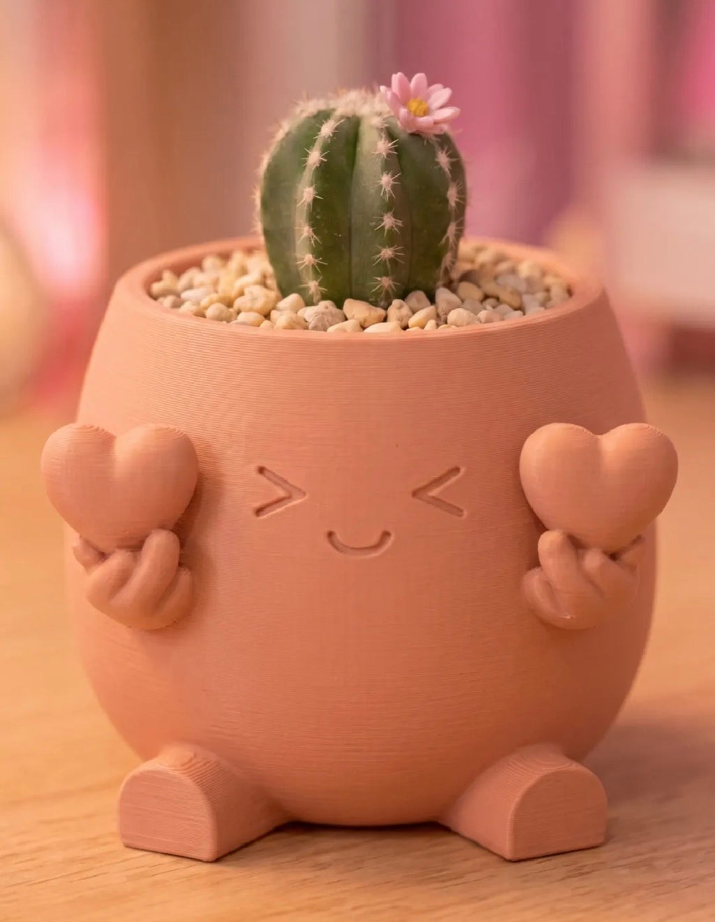Heart Hands Character Succulent Planter