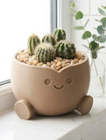 Smiley Face Character Succulent Planter