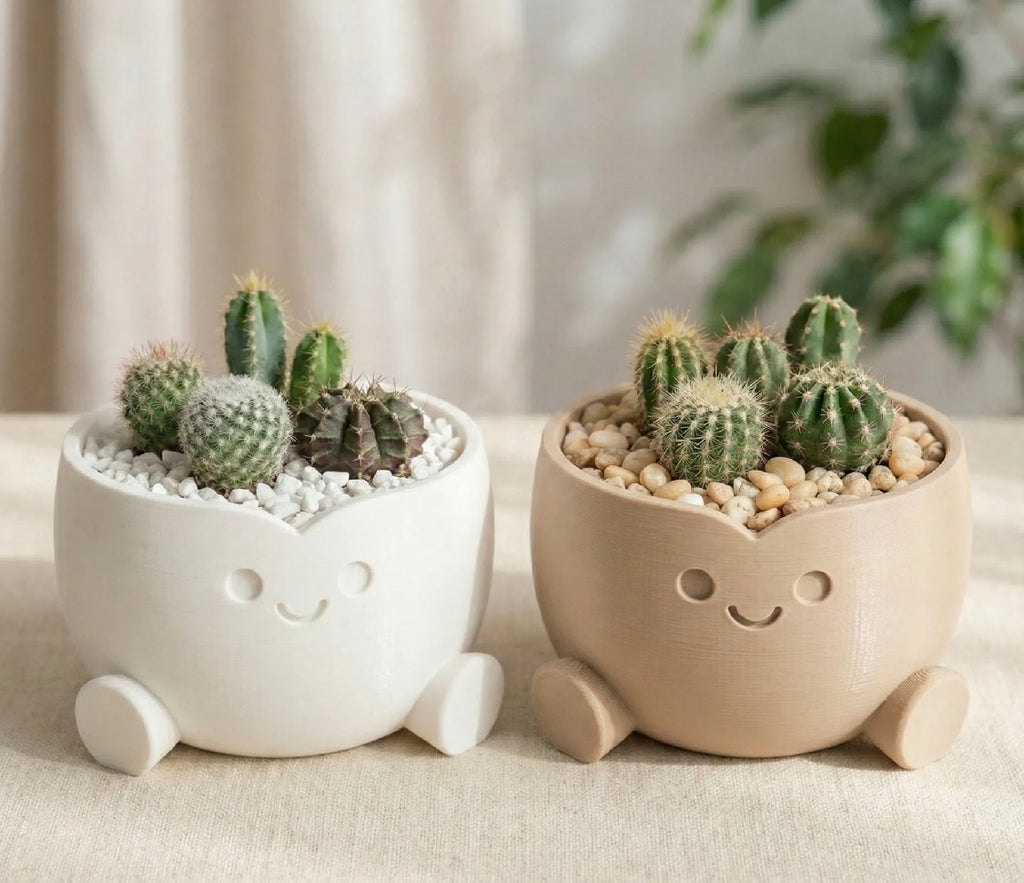 Smiley Face Character Succulent Planter