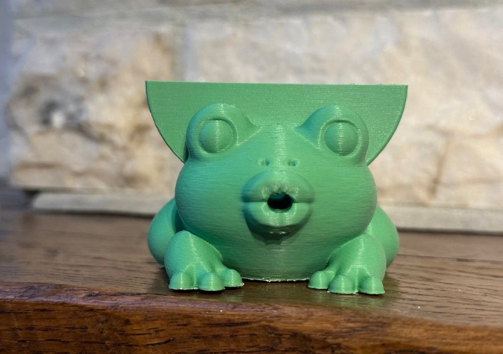 Frog Sponge Holder