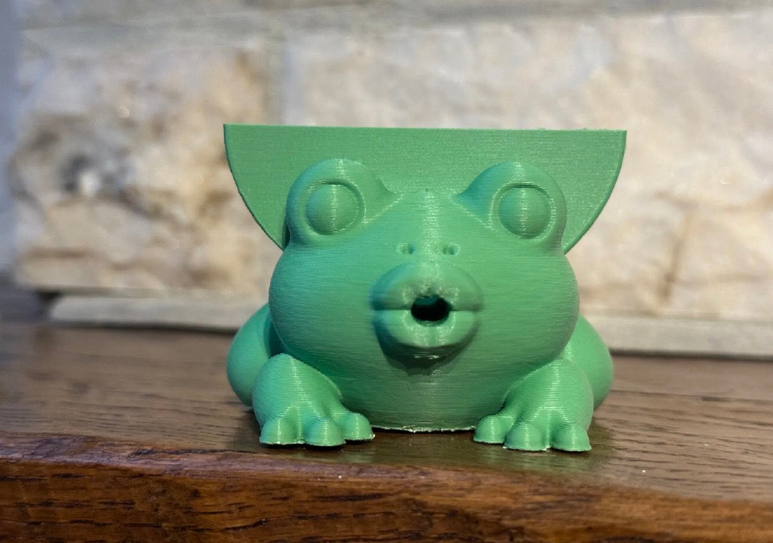 Frog Sponge Holder