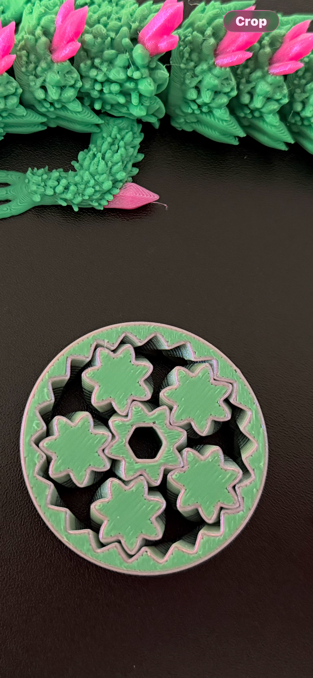 Succulent Dragon with Fidget Spinner