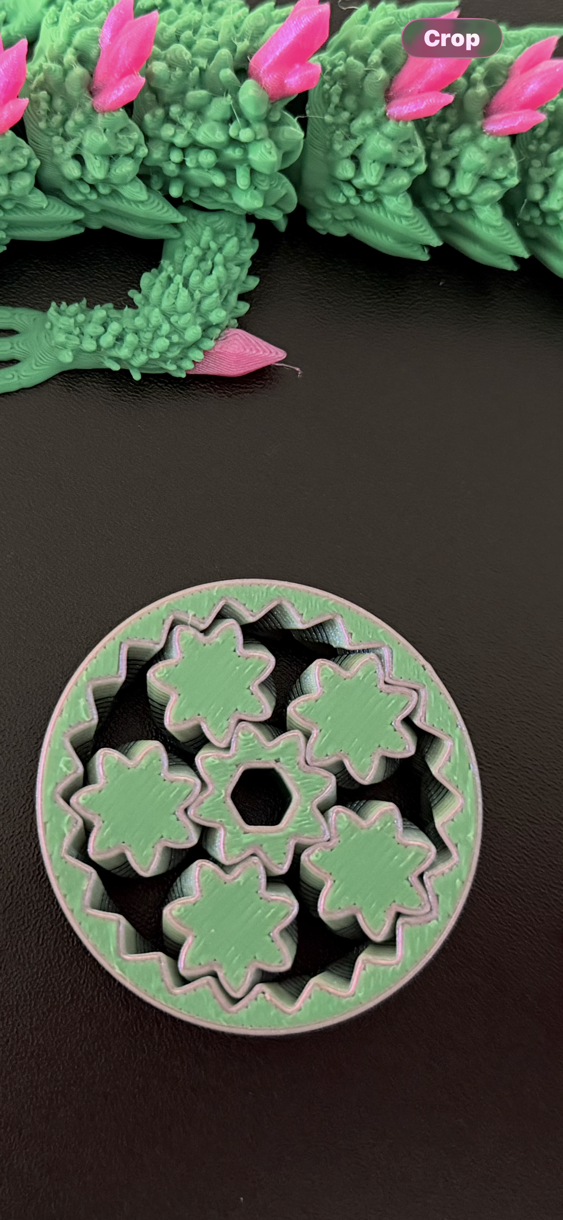Succulent Dragon with Fidget Spinner
