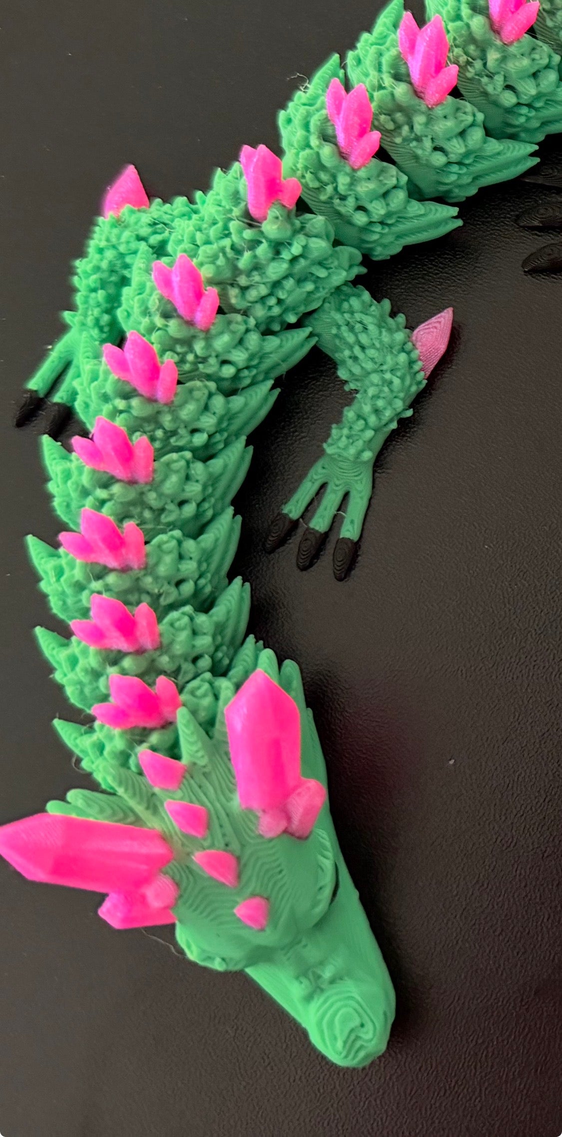 Succulent Dragon with Fidget Spinner