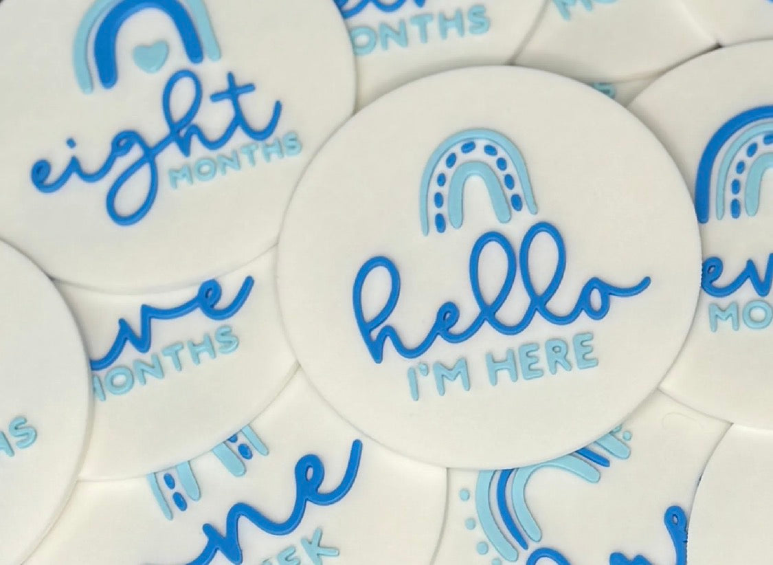 3D Printed Rainbow Baby Milestone Disc Set — Weeks & Months, Pink or Blue