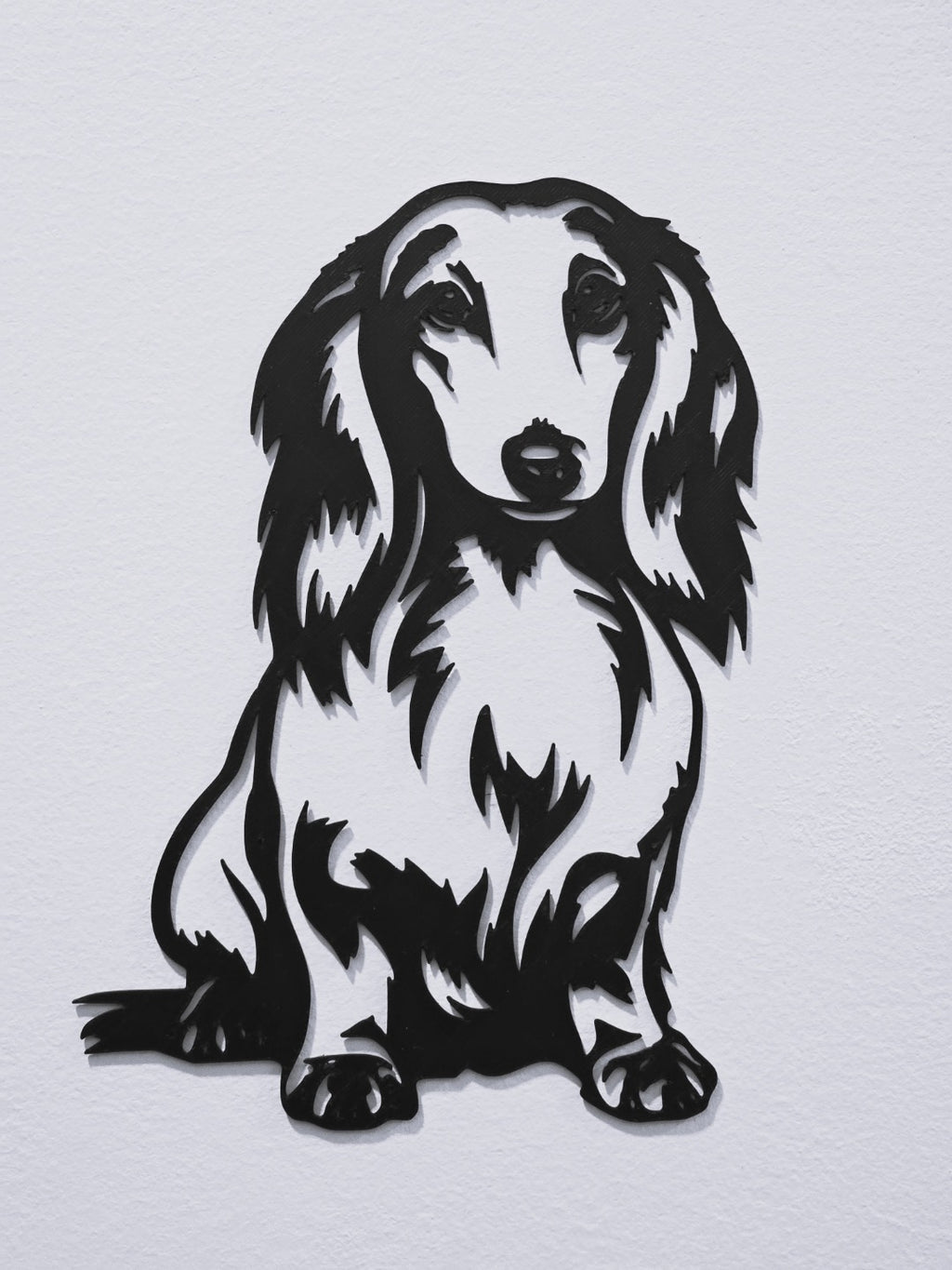 Long-haired dachshund wall art second angle on white wall