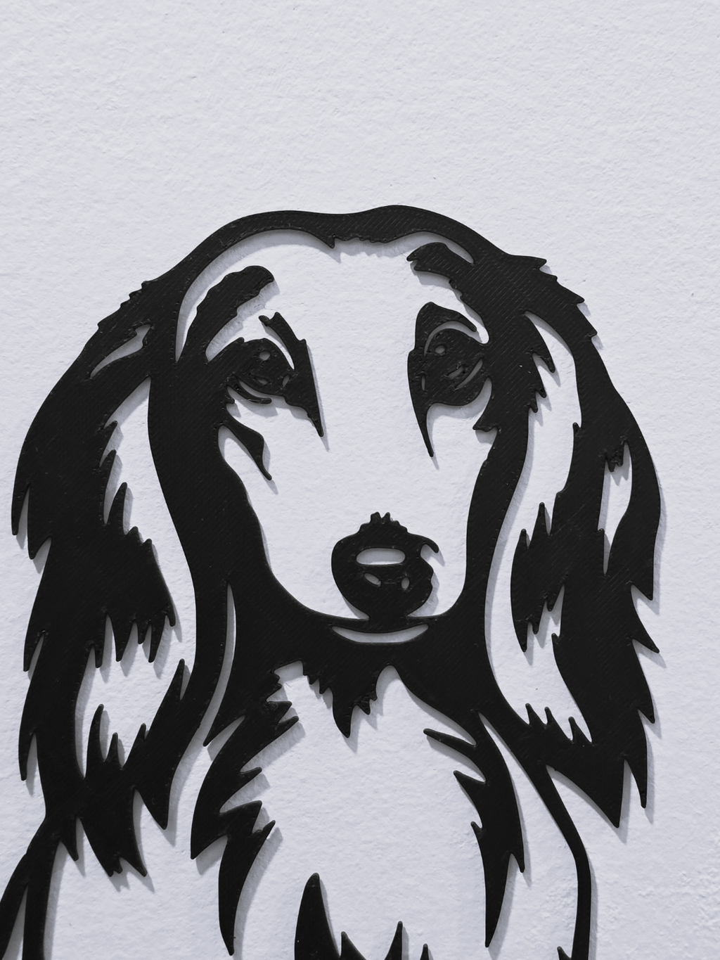 Long-haired dachshund wall art close-up face detail