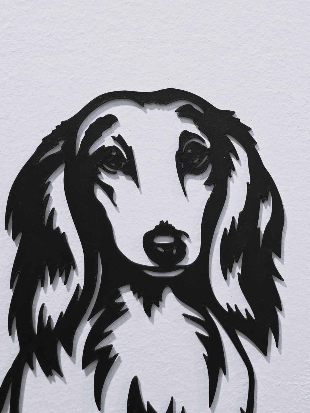 Long-haired dachshund wall art close-up face detail